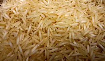 Basmati Rice