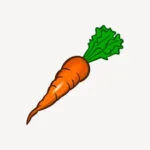 Carrot गाजर