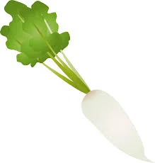 Radish मूली